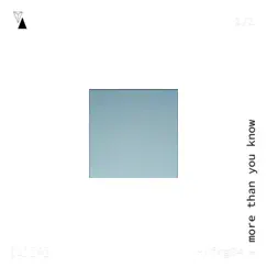 More Than You Know - Single by Hvdson album reviews, ratings, credits