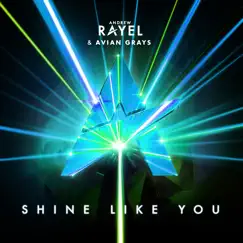 Shine Like You - Single by Andrew Rayel & AVIAN GRAYS album reviews, ratings, credits