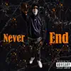 Never End - Single album lyrics, reviews, download