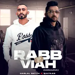 Rabb De Viah (Marijuana) - Single by Harlal Batth & Sultaan album reviews, ratings, credits