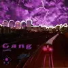 Gang (feat. RONRONTHEPRODUCER) - Single album lyrics, reviews, download