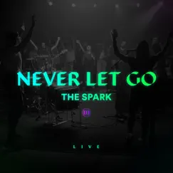 Never Let Go (Live) - Single [feat. Ledger] - Single by The Spark album reviews, ratings, credits