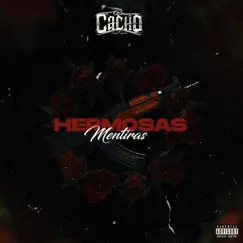 Hermosas Mentiras - Single by El Cacho album reviews, ratings, credits