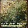 Dolma Mama (Remix) - Single album lyrics, reviews, download