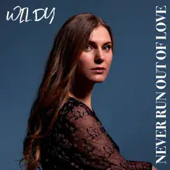 Never Run out of Love - Single by Wildy album reviews, ratings, credits