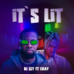 It's Lit (feat. CKay) - Single by DJ Sly King album reviews, ratings, credits