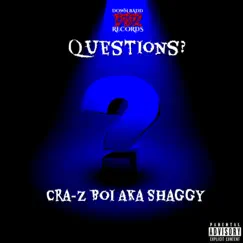 Questions? - Single by Cra-Z Boi Aka Shaggy album reviews, ratings, credits