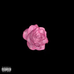 Something Beautiful - Single by Lilwrld album reviews, ratings, credits