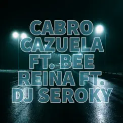 Yo Voy (feat. Bee Reina & DJ Seroky) Song Lyrics