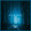 Into the Twilight (Domy DJ Remix) - Single album lyrics, reviews, download