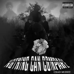 Nothing Can Compare by Chad Money album reviews, ratings, credits