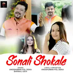 Sonali Shokale Song Lyrics