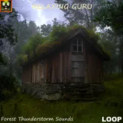 Relaxing Rain and Thunder on a Wooden Hut deep in the Forest Thunderstorm Sounds for Sleeping - Single by Relaxing Guru album reviews, ratings, credits