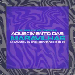 Aquecimento das Maravilhas (feat. Dj Erick Bernardo) Song Lyrics