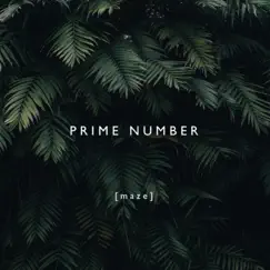 Maze - Single by Prime Number album reviews, ratings, credits