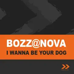 I Wanna Be Your Dog (Radio Edit) Song Lyrics