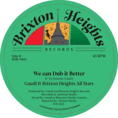 We Can Dub It Better (feat. Ital Horns) Song Lyrics