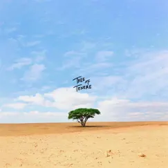 Tree of Tenere by Miller Blue album reviews, ratings, credits