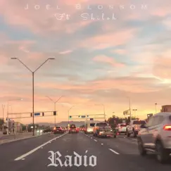 Radio (feat. Shiloh) - Single by Joel Blossom album reviews, ratings, credits