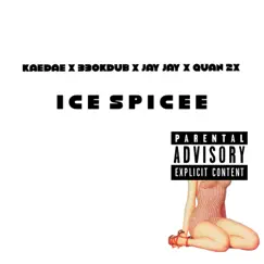 Ice Spicee (feat. Quan 2x, Jay Jay & Kaedae) Song Lyrics