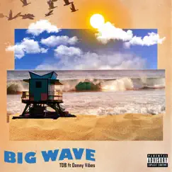 Big Wave (feat. Danny Vibes) - Single by TDB album reviews, ratings, credits