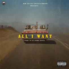 All I Want Song Lyrics