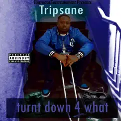 Turnt Down 4 What - Single by Tripsane album reviews, ratings, credits