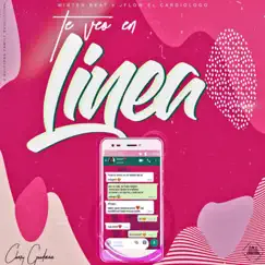 Te Veo En Linea (feat. Mister beat) Song Lyrics