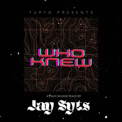 Who Knew - Single by Jay Syts album reviews, ratings, credits