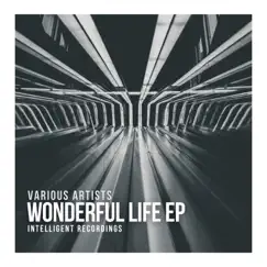 Wonderful Life - EP by Various Artists album reviews, ratings, credits