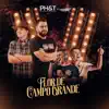 Flor de Campo Grande (feat. João Marcelo & Juliano) - Single album lyrics, reviews, download