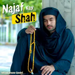 Najaf Kay Shah - Single by Milad Raza Qadri album reviews, ratings, credits