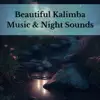 Relaxing Kalimba Music with Night Noise album lyrics, reviews, download