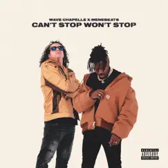 Can't Stop Won't Stop by Wave Chapelle & Menebeats album reviews, ratings, credits