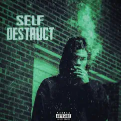 Self Destruct - EP by K4M album reviews, ratings, credits