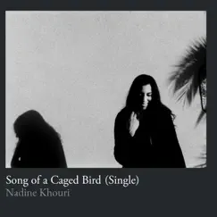 Song of a Caged Bird (Single) - Single by Nadine Khouri album reviews, ratings, credits