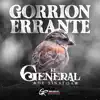 Gorrión Errante (En Vivo) - Single album lyrics, reviews, download