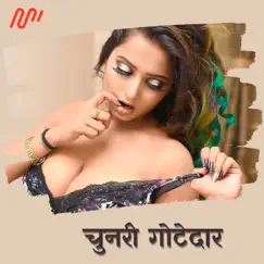 Chunari Gotedaar (feat. Shalini Mishra) - Single by Pradip Yadav album reviews, ratings, credits