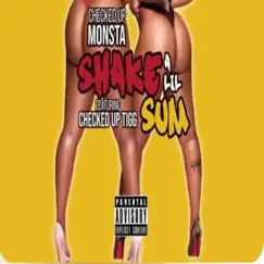 Shake a Lil Sum (feat. CheckedUp Tigg) Song Lyrics