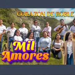 MIL AMORES Corazón de Roble - Single by Music festival Andina album reviews, ratings, credits