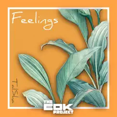 Feelings (Radio Edit) [feat. TalSha] Song Lyrics