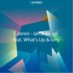Iarna sunt pe val (feat. What's Up & Iony) - Single by Cabron album reviews, ratings, credits
