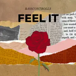 Feel It - Single by Basscontrolls album reviews, ratings, credits