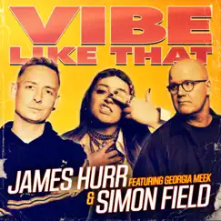 Vibe Like That (feat. Georgia Meek) - Single by Simon Field & James Hurr album reviews, ratings, credits