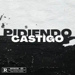 Pidiendo Castigo - Single by ZALO DJ album reviews, ratings, credits