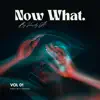 Now What (Deep House Mix) song lyrics