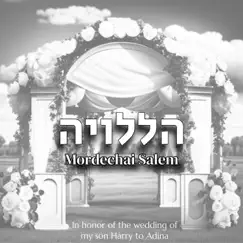 הללויה - Single by Mordechai Salem album reviews, ratings, credits