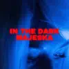 In the Dark - Single album lyrics, reviews, download
