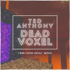 Dead Voxel Song Lyrics