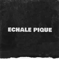 Echale Pique (feat. Musicologo y Menes & Nazza) - Single by DY album reviews, ratings, credits